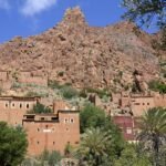 مراكش ..حديقة ماجوريل تطلق مسابقة “جائزة مؤسسة حديقة ماجوريل”