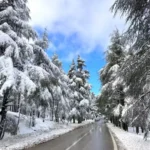 ارتفاع النفط بعد أكبر خسارة سنوية له منذ 2020