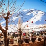 فيلم “الخطابة”… يعيد فضيلة بنموسى إلى الكوميديا الاجتماعية من بوابة الأسرة