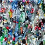 بعد التساقطات المطرية… الجزر يقود موجة الغلاء في الأسواق