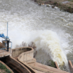 “إيض ن يناير”  الاحتفال في زمن الغياب