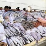 مجلس المستشارين يختتم الدورة الأولى من السنة التشريعية 2025-2026