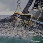 المغرب يعلن العرائش والقنيطرة وسيدي قاسم وسيدي سليمان “مناطق منكوبة”