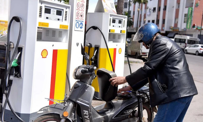 المزوط في المغرب: الواقع بين الأسعار والتخوفات الشعبية