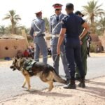 ريال مدريد يكشف طبيعة إصابة مبابي ورودريغو يخضع لعملية جراحية