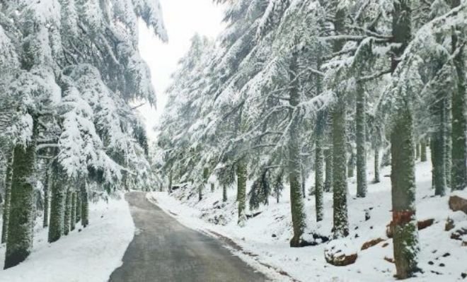 نشرة إنذارية